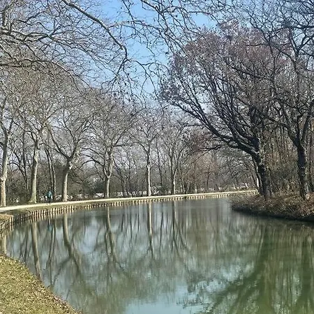 - Centre De De Lauragais 아파트 *