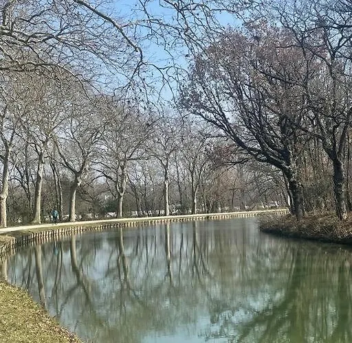 아파트 - Centre De De Lauragais *